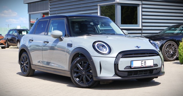mini