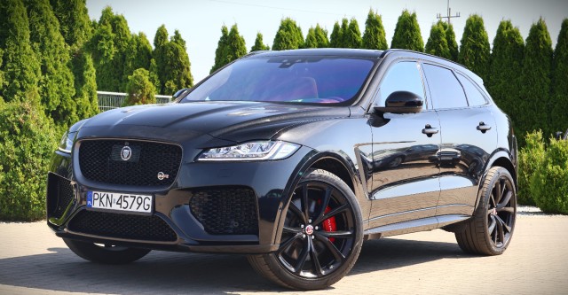 jaguar