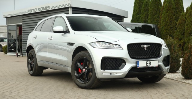 jaguar